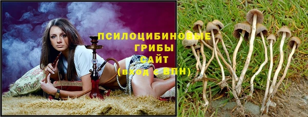 ALPHA PVP Магадан