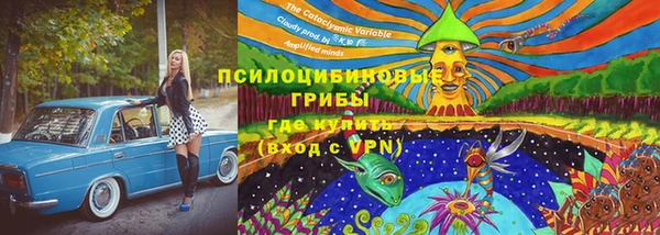 метадон Майский