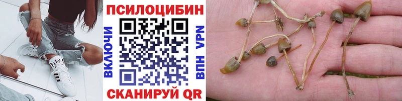 Купить  Сертолово  Галлюциногенные грибы мицелий 
